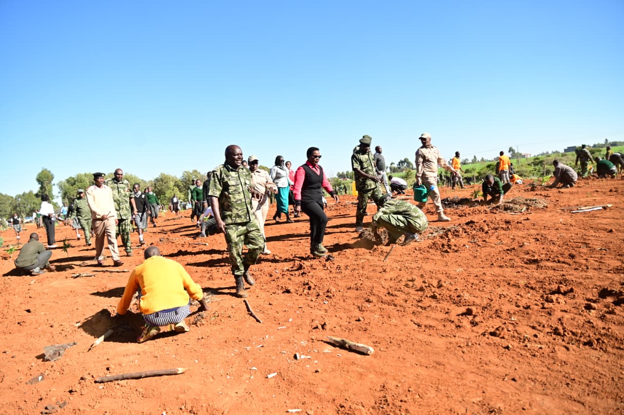  2,500 TREES PLANTED AS THE STATE DEPARTMENT FOR CORRECTIONAL SERVICES MARK WORLD ENVIRONMENT DAY 