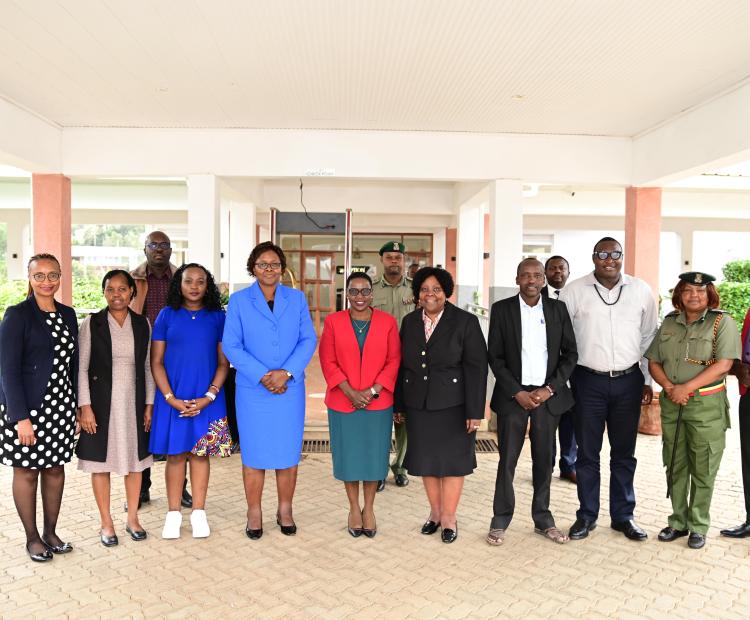 CORRECTIONAL SERVICES PS UNDERSCORE ROLE OF COMMUNITY SERVICE ORDERS 