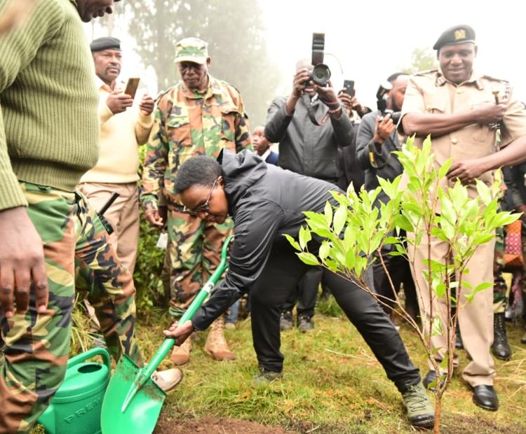 CORRECTIONAL SERVICES PS JOINS ICT CS FOR A FOREST CONSERVATION DRIVE IN LARI 